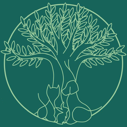 Olive Tree Veterinary Surgery Price List